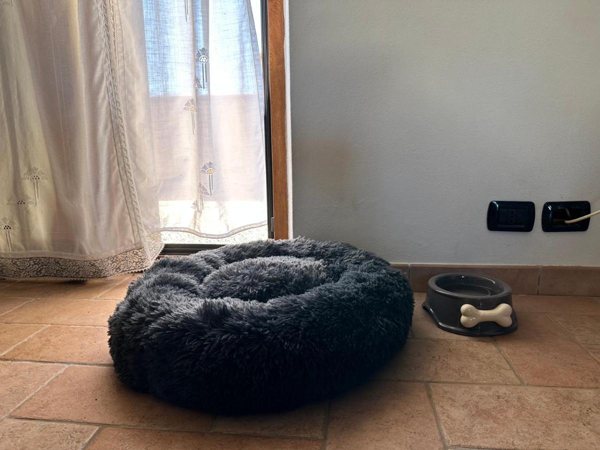 فيلا Crock House Funtana Meiga المظهر الخارجي الصورة